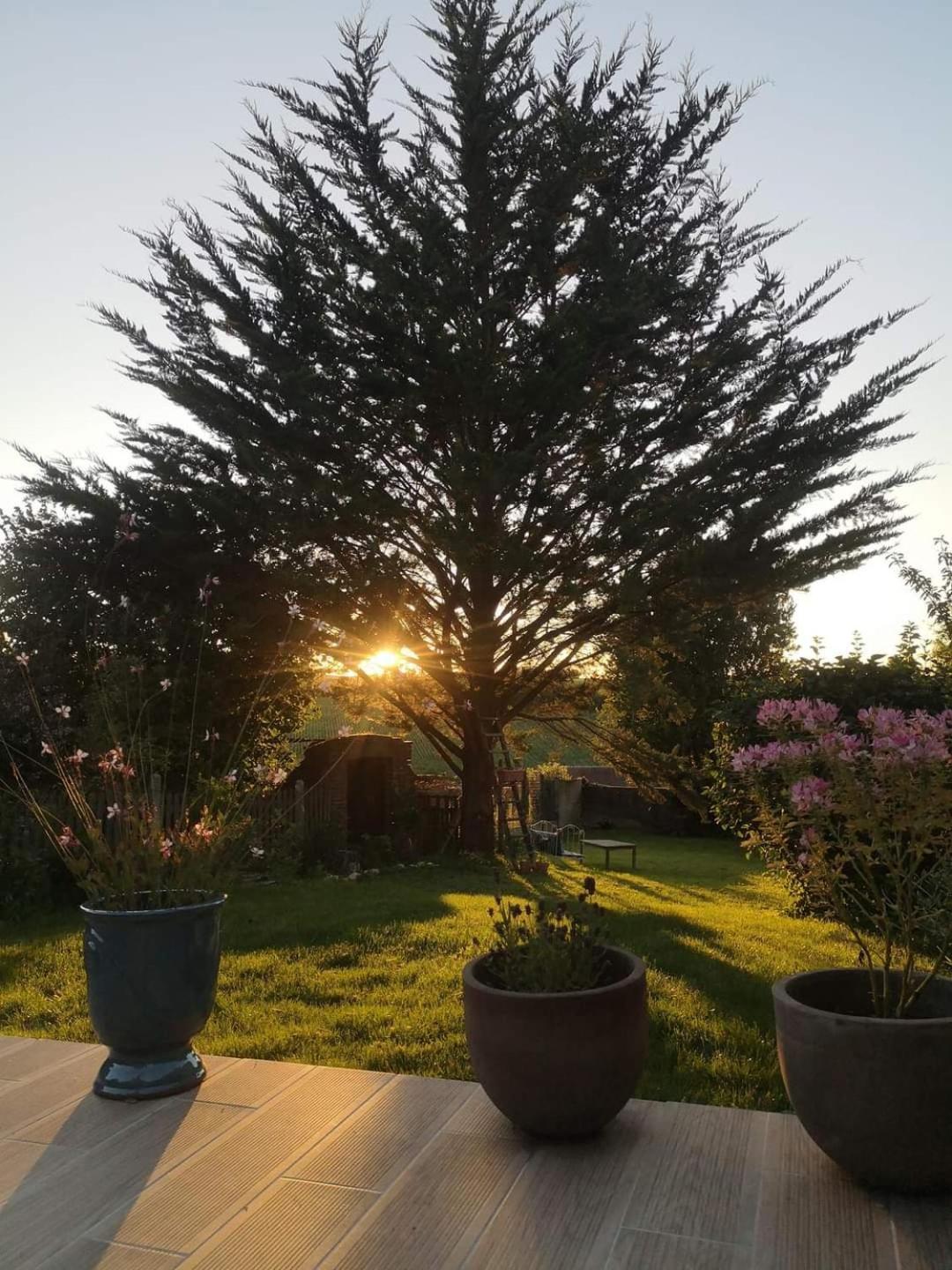 הוילה Au Coeur De Mortagne, Un Balcon Sur Le Perche מראה חיצוני תמונה